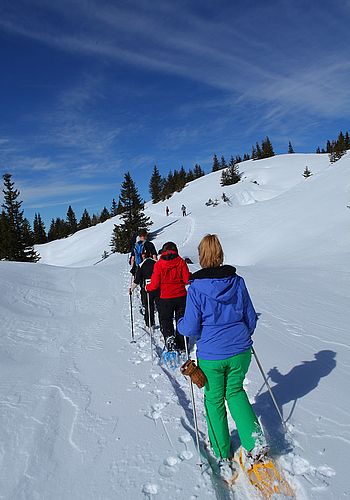 Weitere Winteraktivitäten