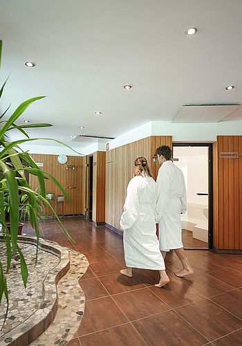 Wellness
