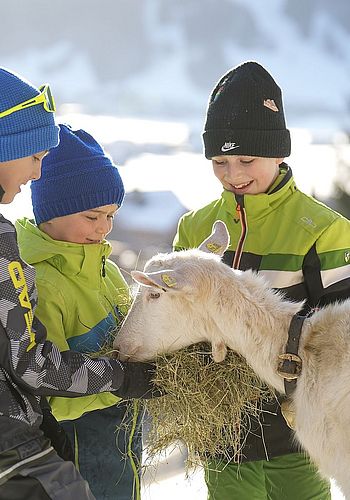 Further winter activities